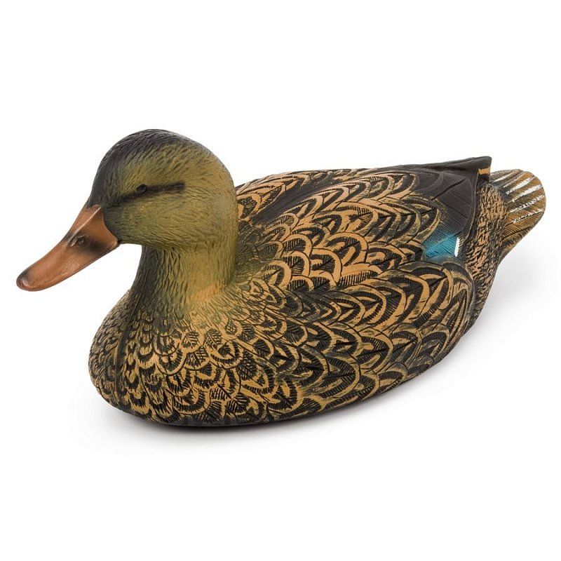 Чучело утка "Кряква"